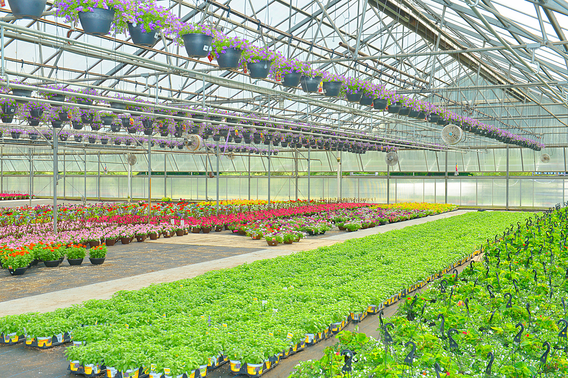 Floral-Products