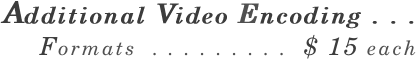 Additional Video Encoding